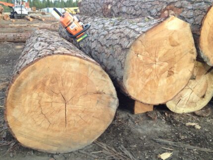 Wood for Sale